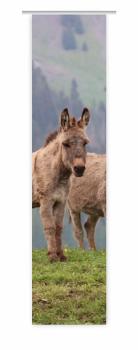 Flächenvorhang Beste Freunde,  Schiebevorhang, Schiebegardine, modern, 60 cm breit, 2,65 m hoch, 3 m hoch